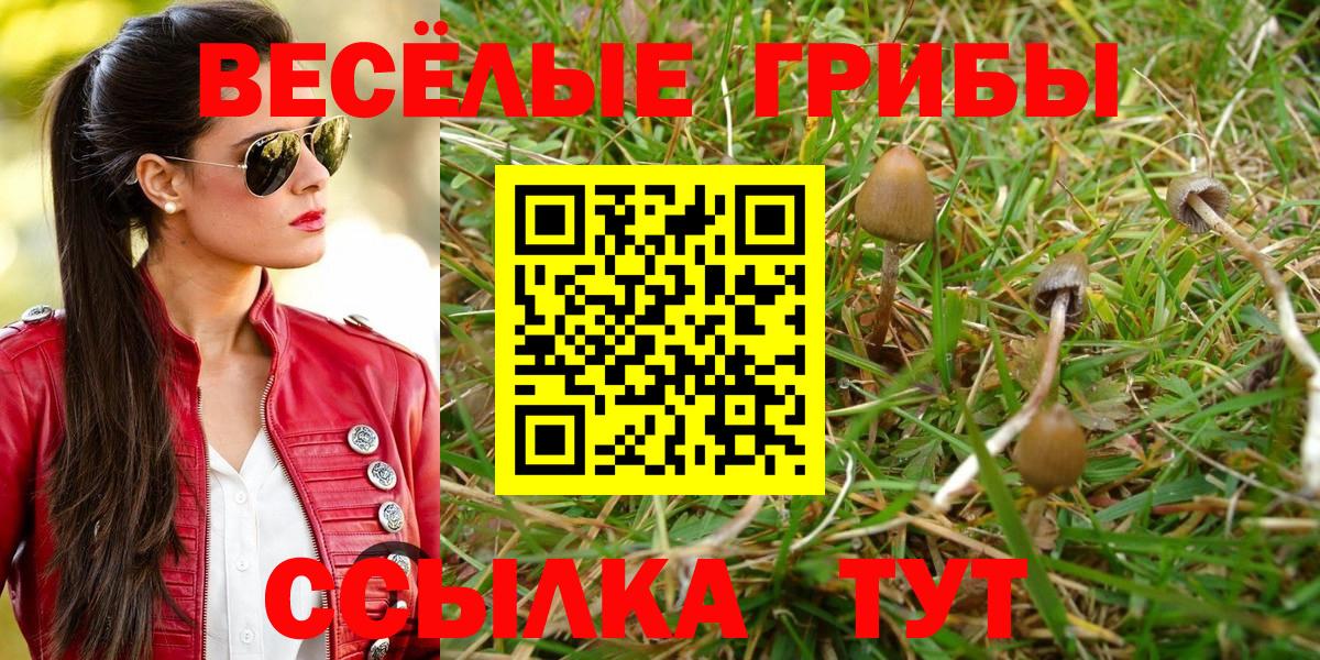 Галлюциногенные грибы ЛСД  Вход с VPN  Галлюциногенные грибы Psilocybe  Великий Устюг 